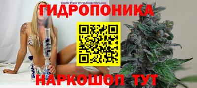 кокс Заволжье