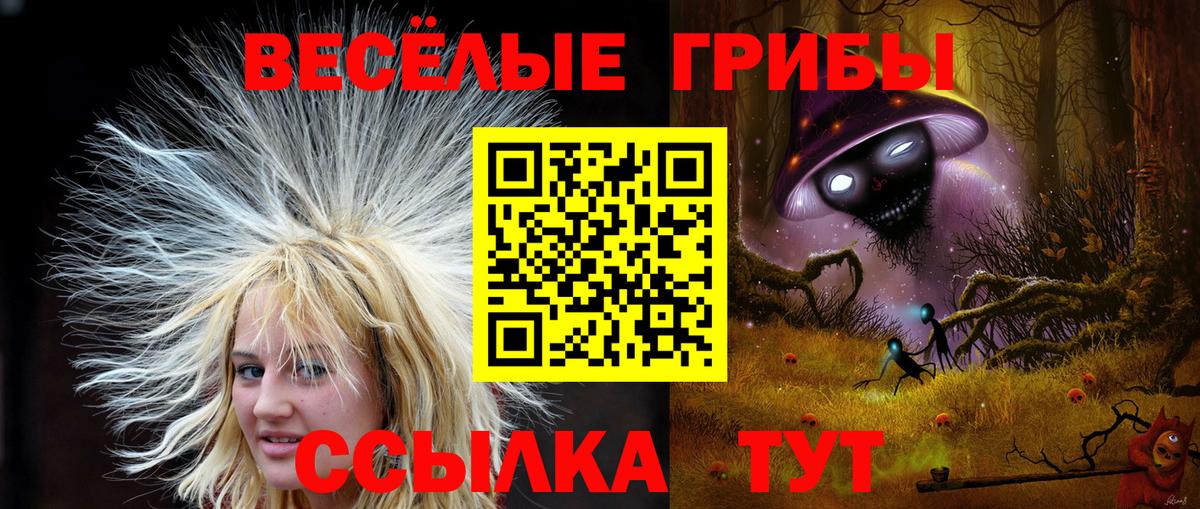 Псилоцибиновые грибы ЛСД Ишимбай